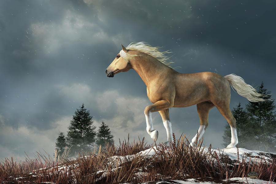 Palomino Horse in the Winter Wilderness Digital Art by Daniel Eskridge