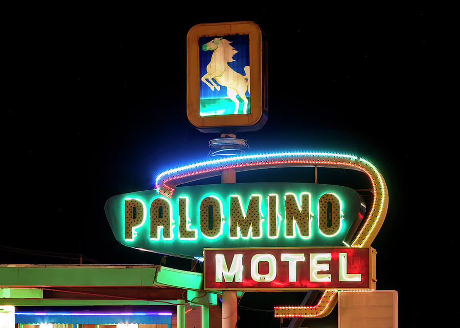Palomino Motel Sign - Tucumcari - Route 66 Photograph by Susan Rissi Tregoning