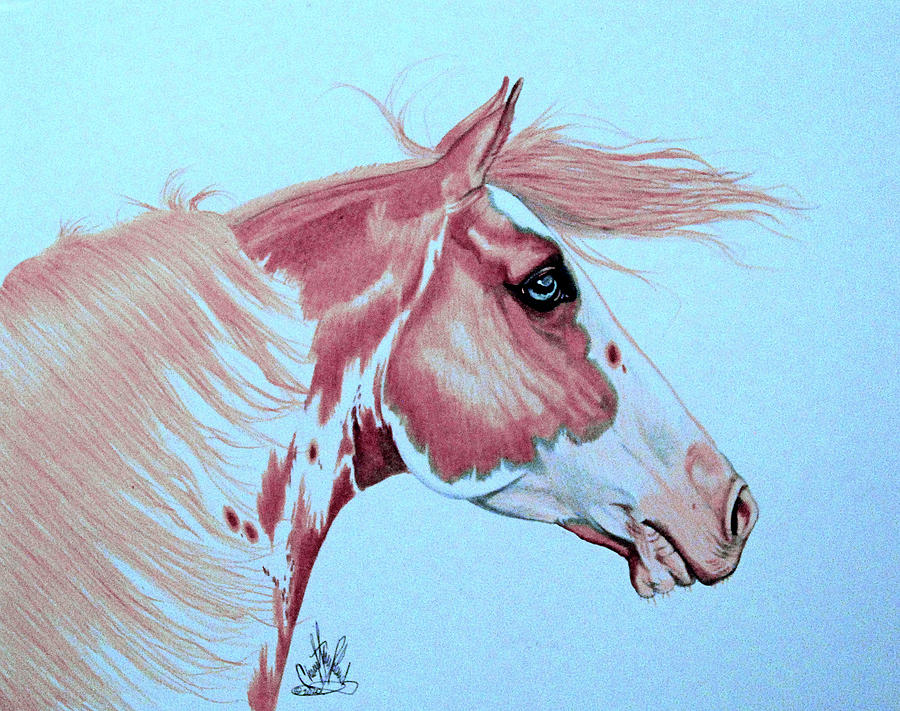 This is my first realistic horse drawing I have ever done. I'm not use to  inanimate objects either. I'm not done yet, but I'm looking for some good  critics. For some reason
