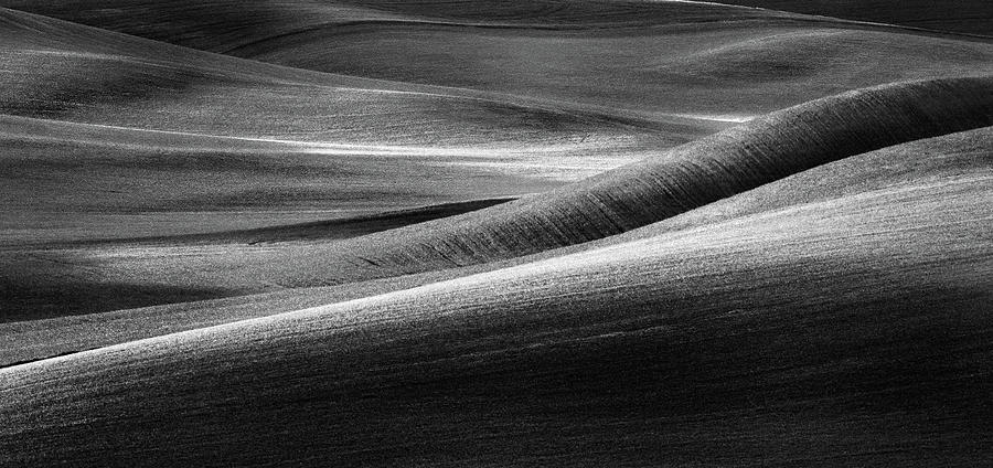 Palouse Abstract in Black and White Photograph by Kristen Wilkinson