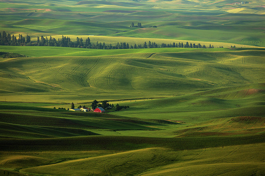 Palouse Barn Photograph by James Neihouse ASC