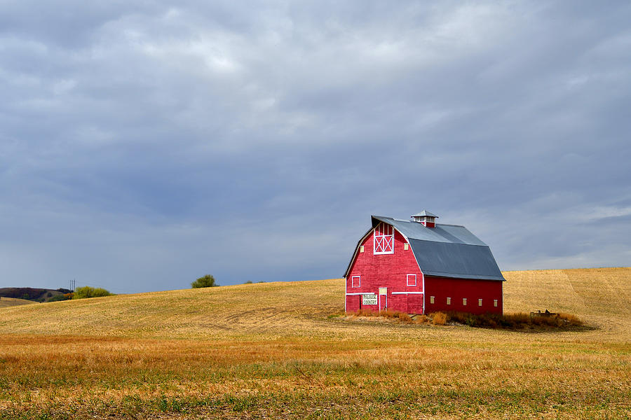 Palouse Country Barn Photograph by Michael Morse - Pixels