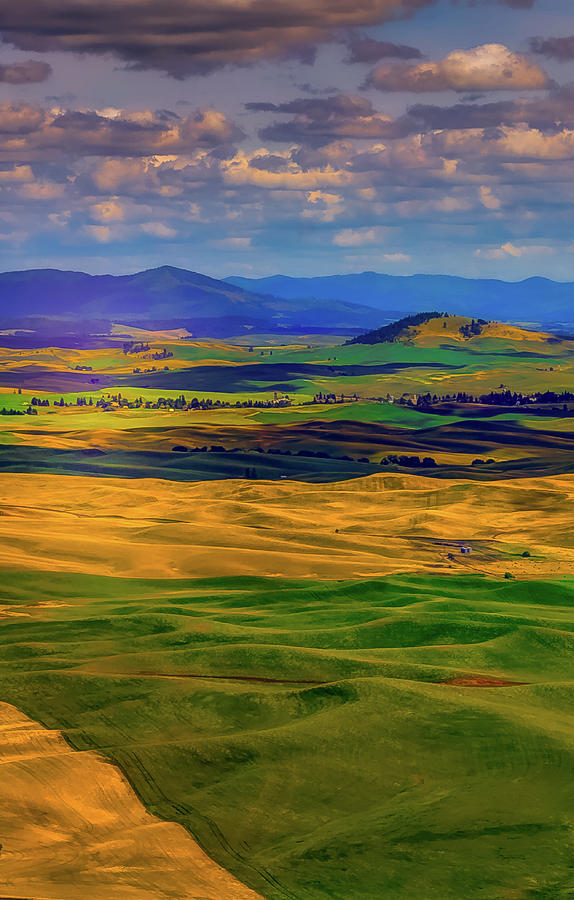 Palouse Country Photograph by David Patterson