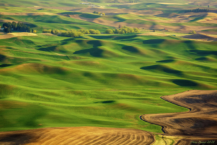 Palouse Land 024 Photograph by Mike Penney | Fine Art America