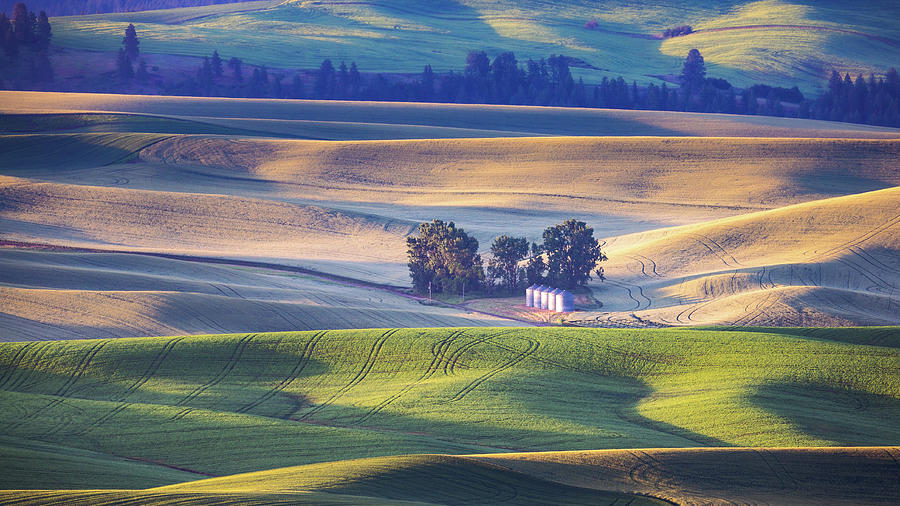 Palouse Scenery - 01 Photograph by Alex Mironyuk - Pixels