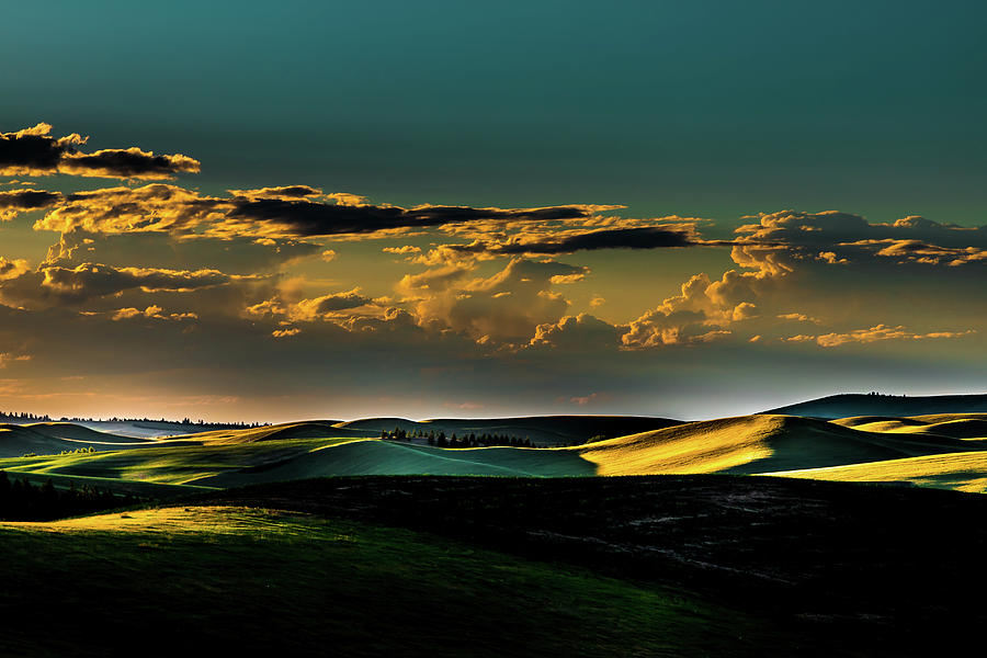 Palouse Shadow Play Photograph by David Patterson