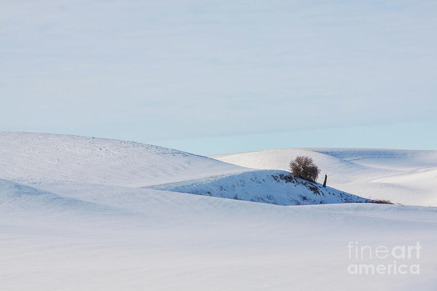 Palouse snow-covered rolling hills in winter Photograph by Tatiana Travelways Palouse snow-covered rolling hills in winter Photograph by Tatiana Travelways