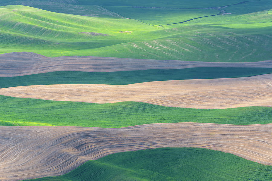 Palouse wheat fields Digital Art by Michael Lee