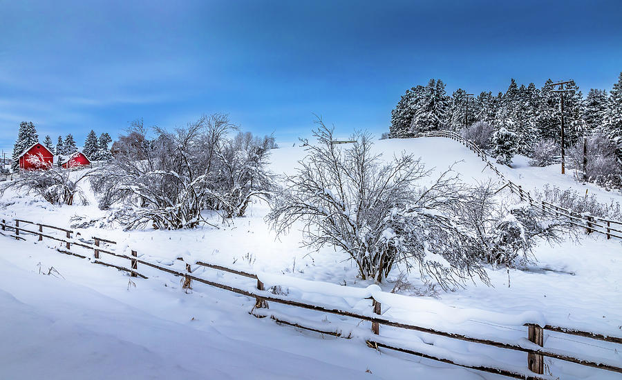 Palouse Winter Photograph by David Patterson