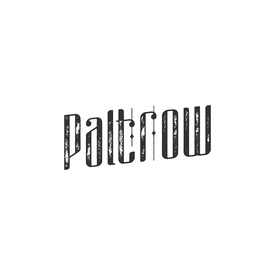 Paltrow Photograph by TintoDesigns