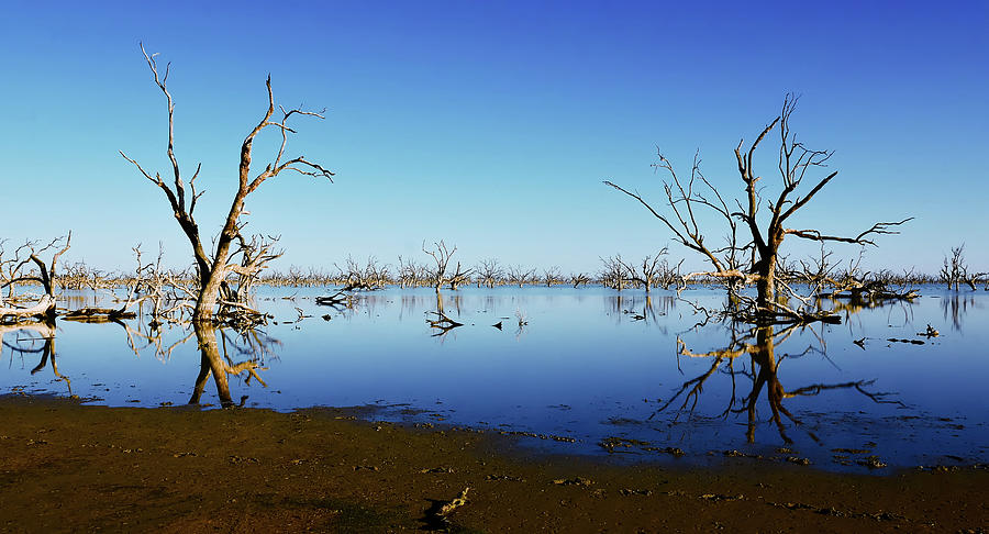 Pamamaroo Lake Mud Flats Photograph by Lexa Harpell