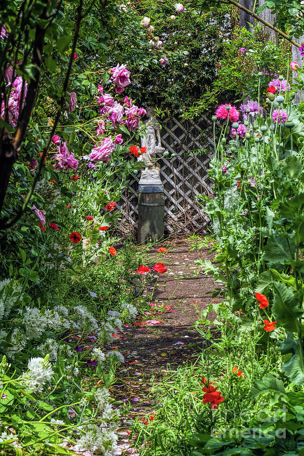Pams Garden #3 Photograph by Elaine Teague