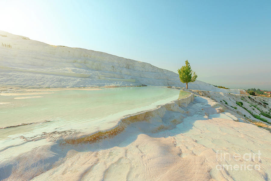 Pamukkale thermal pools in Turkey Digital Art by Benny Marty