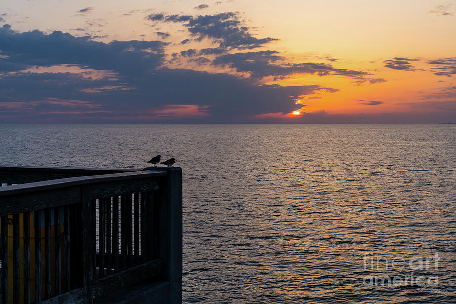 Panama City Beach Pier Seagulls Sunset Photograph by Jennifer White