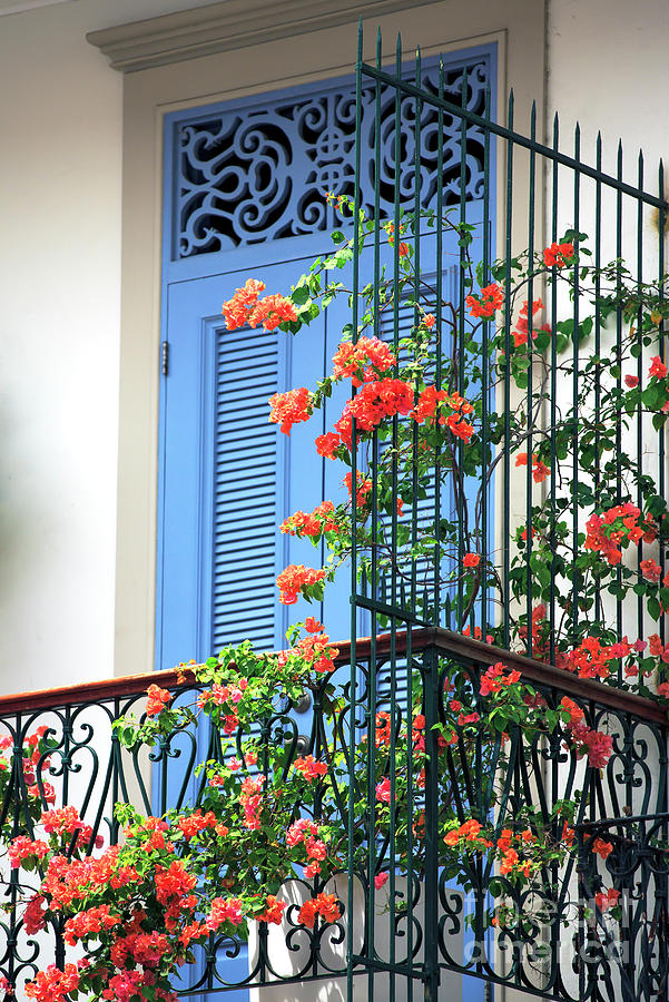 Panama City Flowers on the Balcony in Casco Viejo Photograph by John Rizzuto