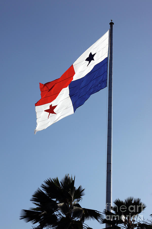 Panama Flag and Palm Leaves Photograph by James Brunker