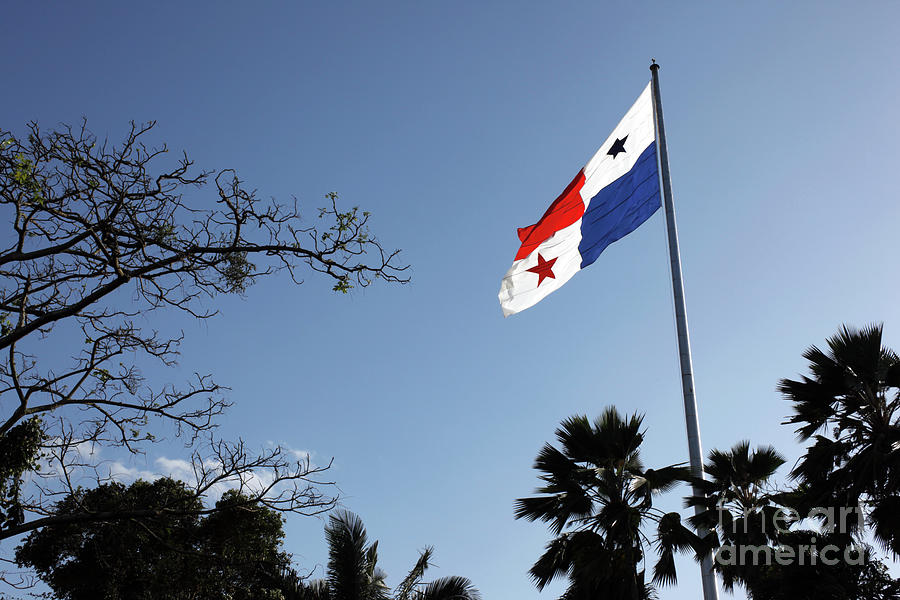 Panamanian Flag and trees on Cerro Ancon Photograph by James Brunker