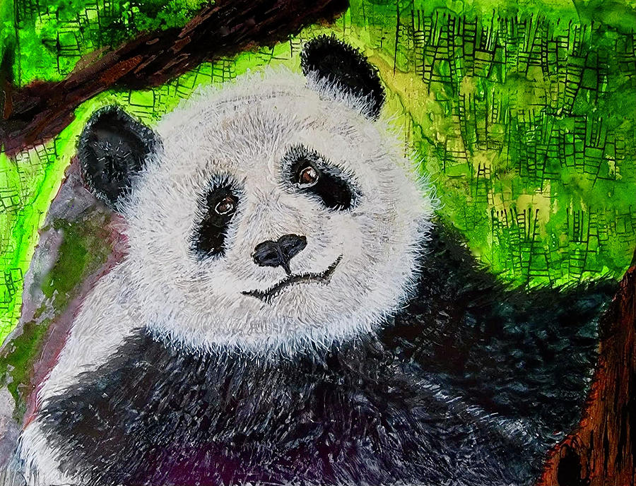 Panda Painting by Amy Beste - Fine Art America