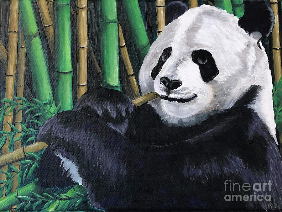 panda bear eating