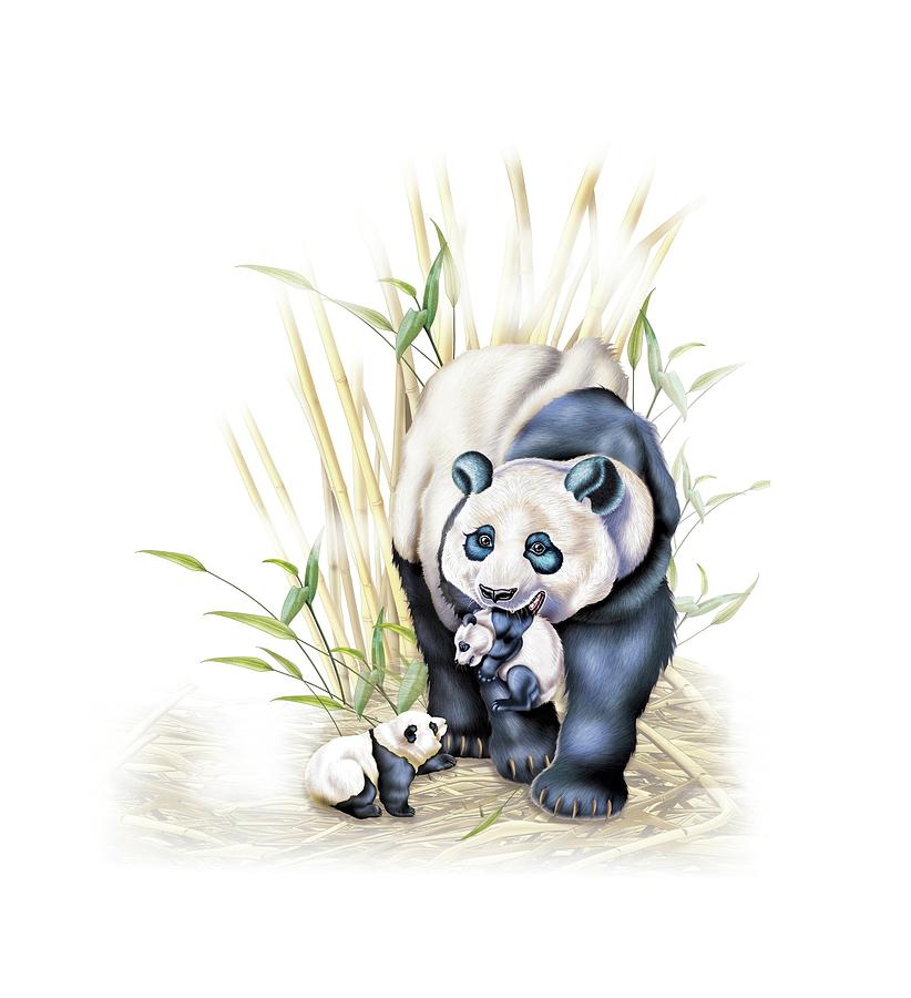 Panda bear with young. Digital Art by Album