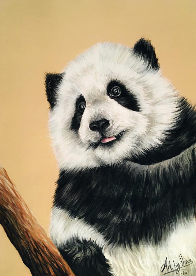 Wildlife Drawing - Panda Cub by Art By Three Sarah Rebekah Rachel White