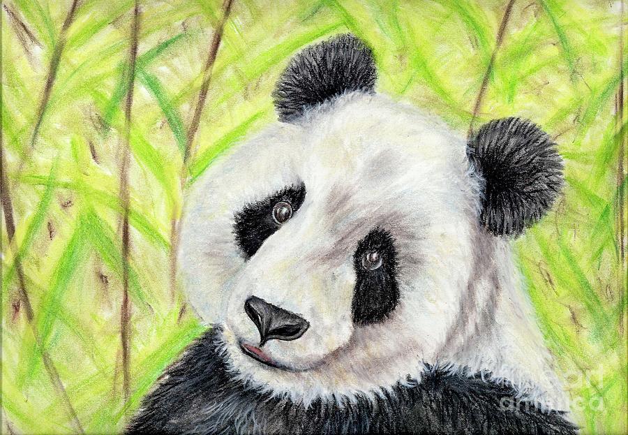 Panda in Bamboo Pastel by Elizabeth Gyles Johnson
