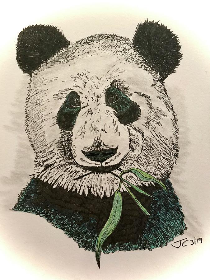 Bamboo Breakfast' - Panda Bears - Fine Art Pencil Drawing… | Flickr