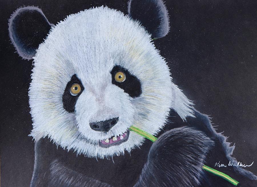 Panda Lunch Drawing Drawing by Kimberly Walker