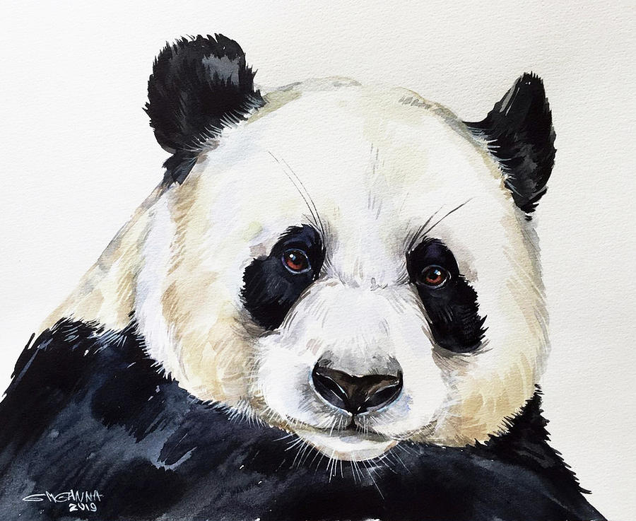 Panda Portrait Painting by Ganna Melnychenko - Fine Art America