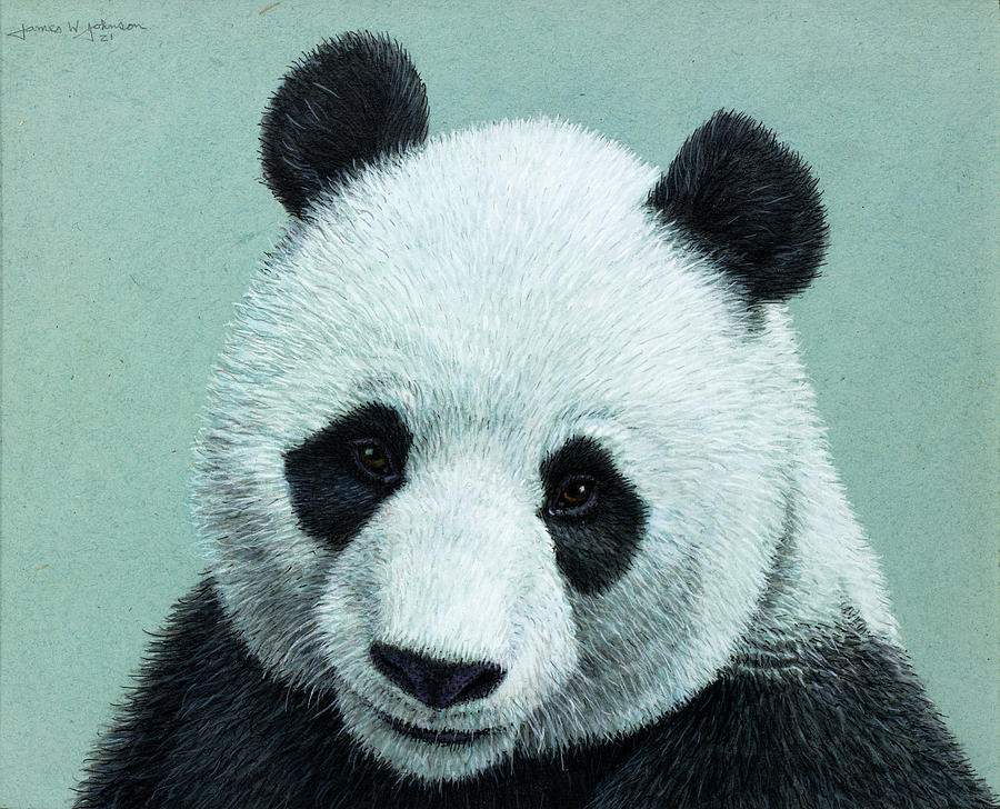 Panda Portrait Painting by James W Johnson