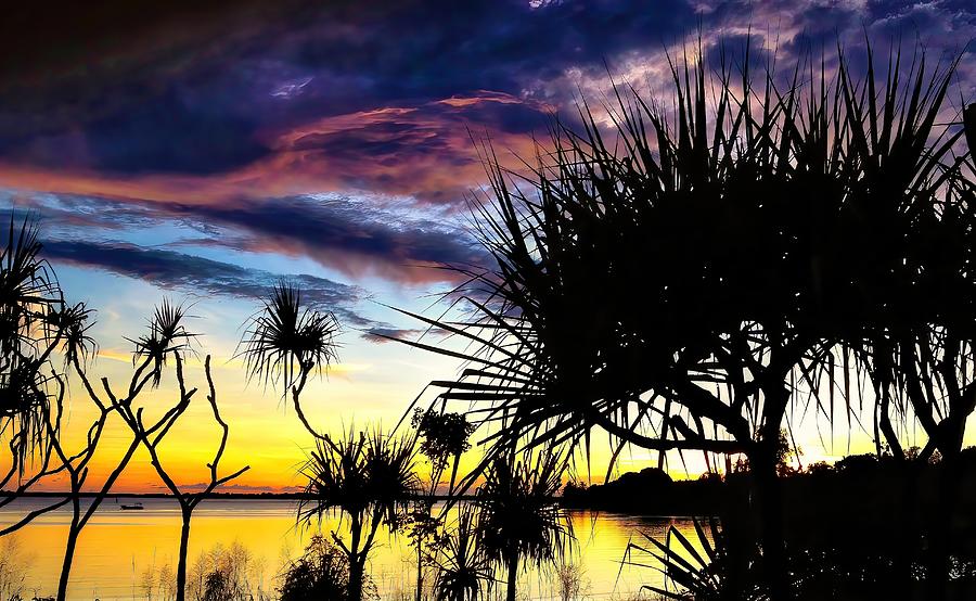 Pandanus Sunset Photograph by Joan Stratton