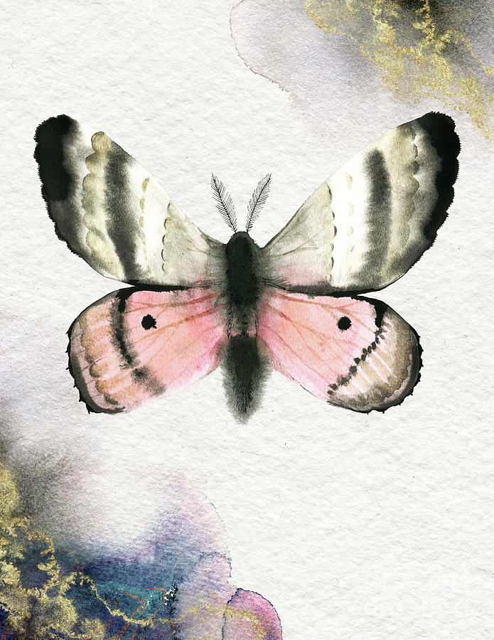 Pandora Moth Painting by Garden Of Delights
