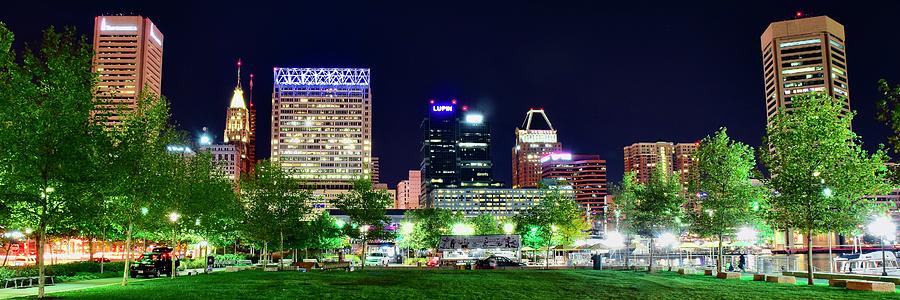 Pano From The Grass In Baltimore Photograph