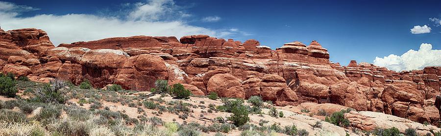 Panorama Arches National Park Photograph by Mary Bedy