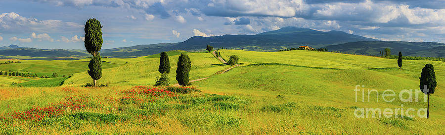 Panorama from Tuscany Photograph by Henk Meijer Photography
