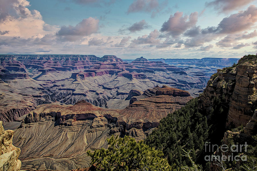 Panorama Grand Canyon Superb Color  Photograph by Chuck Kuhn