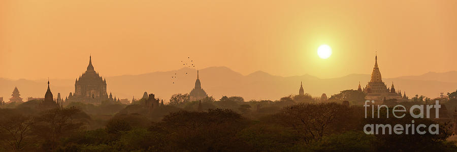 Panorama of Bagan temples, Myanmar Photograph by Delphimages Photo Creations