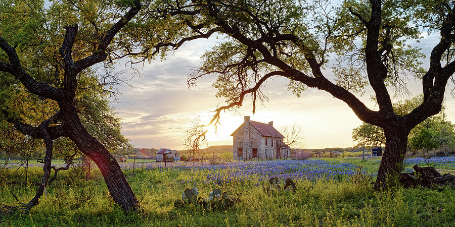 Panorama of Bluebonnet House in Marble Falls with Bluebonnets and ...