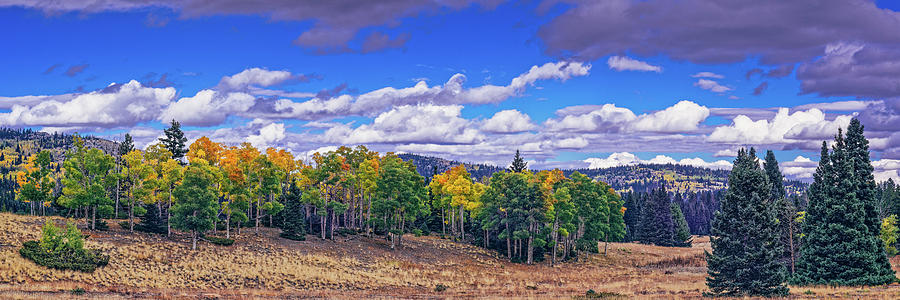 Panorama Of Changing Aspens And Meadows In The Carson National Forest - Tierra Amarilla New Mexico Photograph