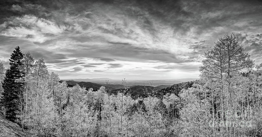 Panorama of Changing Aspens from Vista Grande Observation Site - Santa Fe National Forest New Mexico Photograph by Silvio Ligutti