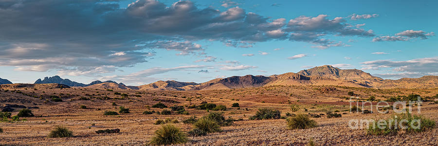 Panorama Of Davis Mountains Scenic Loop - Mount Livermore Fort Davis West Texas Photograph