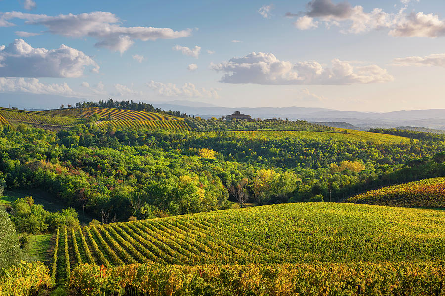 Panorama of Gaiole in Chianti vineyards. Tuscany, Italy Photograph by Stefano Orazzini