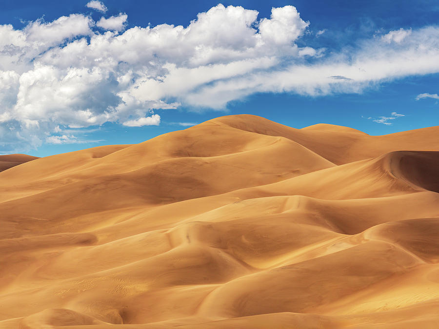 Panorama of Great Sand Dunes National Park Photograph by Steven Heap