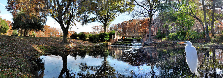 Panorama of Greenfield Lake Park, Wilmington, NC Photograph by WAZgriffin Digital