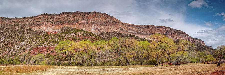 Mountain Photograph - Panorama of Jemez Springs Red Cliffs and Cottonwoods - Jemez Pueblo Valles Caldera - New Mexico  by Silvio Ligutti