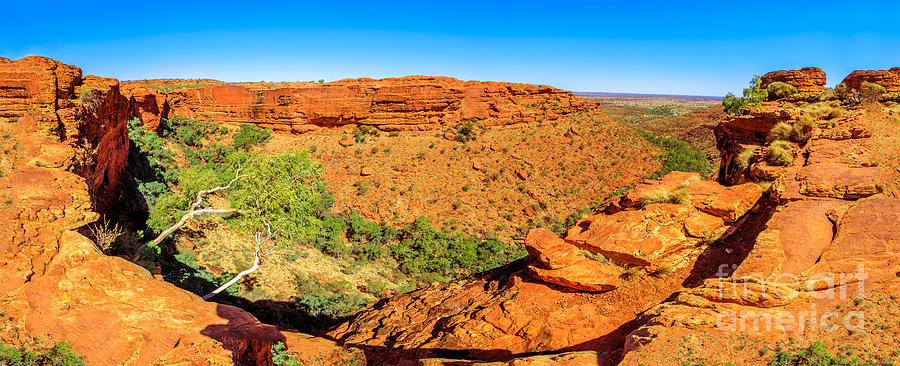 Panorama of Kings Canyon Photograph by Benny Marty