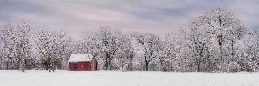 Architecture Photograph - Panorama of Red Barn and Trees in Winter by David and Carol Kelly