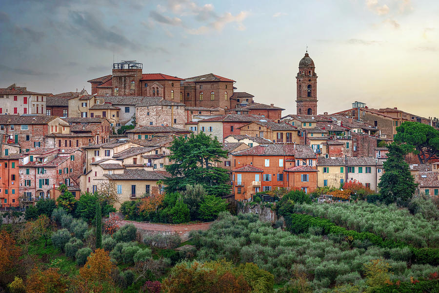 Panorama of Siena - Italy Photograph by Joana Kruse