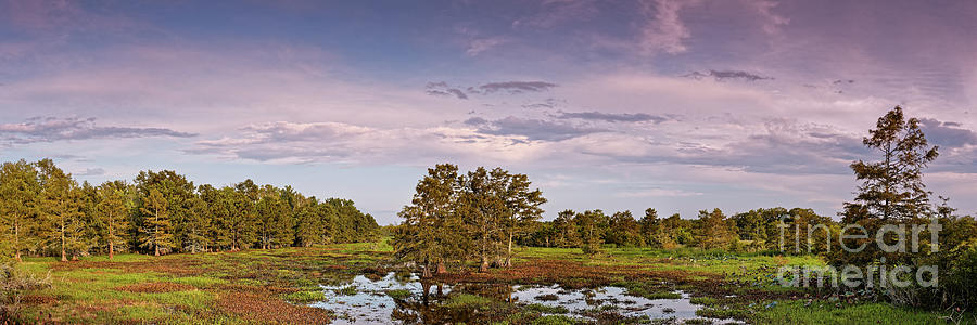 Sunset Photograph - Panorama of Swampland Martin Dies Junior State Park - Woodville Jasper East Texas Piney Woods  by Silvio Ligutti