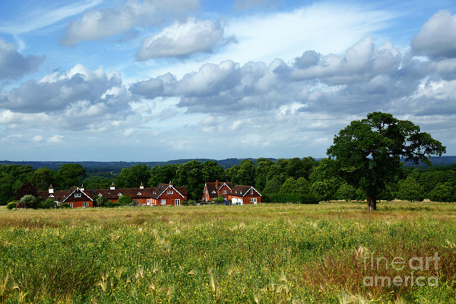 Panorama of the former Somerhill Estate Kent England Photograph by James Brunker